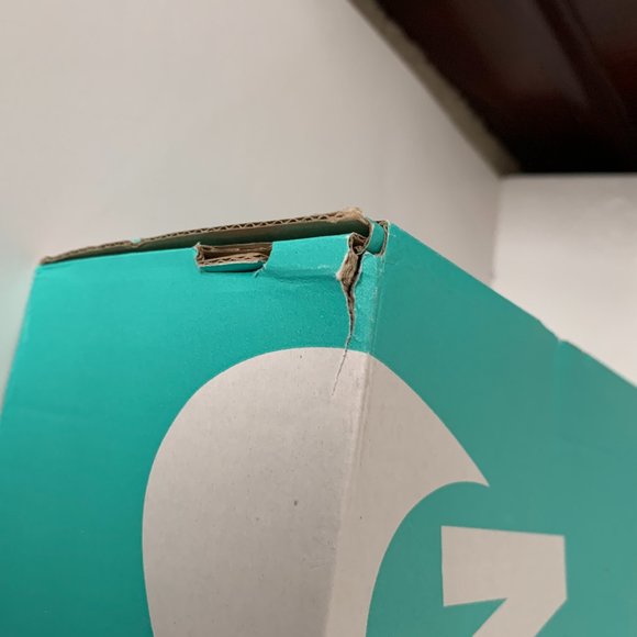 Nike SB Youth Canvas "Have a Nike Day" Sneakers - Picture 15 of 15